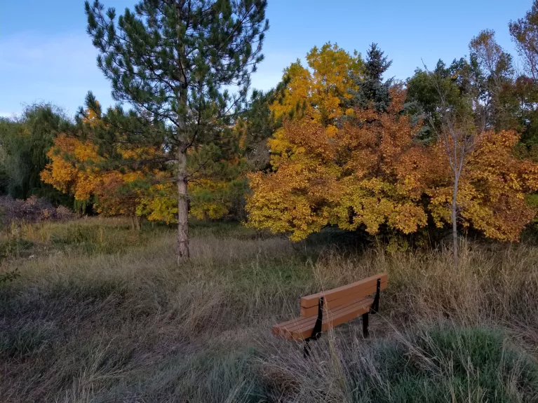 Fall colors in Orchard Hills Park 2021