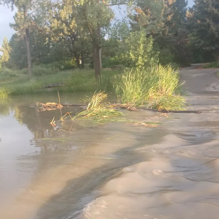 20210705_Flood Photo 1