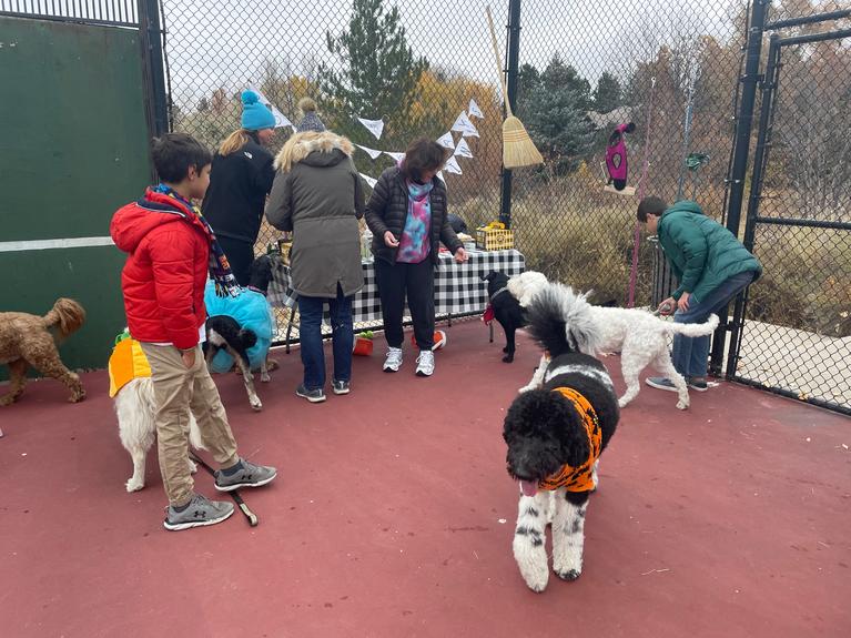 Dog Halloween event 1 - People and dogs on the tennis court